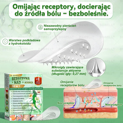🧑‍⚕️🏆   BSWELL® Nano mikroigłowy plaster wyszczuplający (Raz dziennie, efekty już po 28 dniach ✅ Wspiera odchudzanie, serce, cukrzycę, sen, jelita, stawy i więcej.